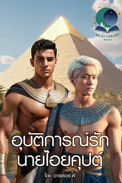 ปกนิยาย