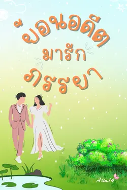 ปกอีบุ๊กเรื่อง ย้อนอดีตมารักภรรยา