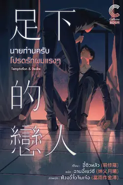 ปกอีบุ๊กเรื่อง นายท่านครับ โปรดรักผมแรงๆ