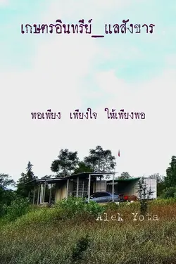 ปกนิยาย