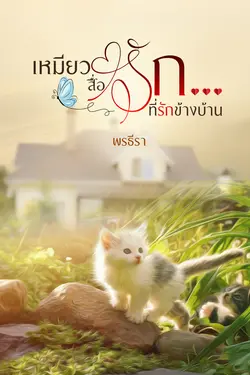 ปกนิยาย