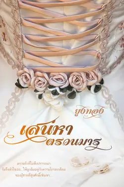 ปกนิยาย