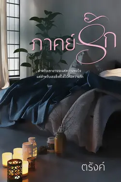 ปกอีบุ๊กเรื่อง ภาคย์รัก