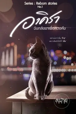 ปกอีบุ๊กเรื่อง อาคิรา ฉันกลับมาเพื่อทวงคืน 