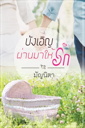 บังเอิญผ่านมาให้รัก