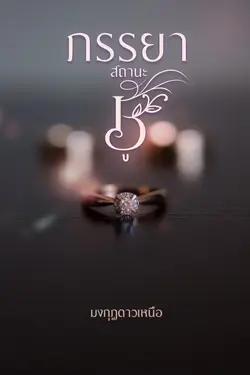 ปกอีบุ๊กเรื่อง ภรรยาสถานะชู้