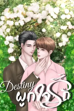 ปกอีบุ๊กเรื่อง Destiny ผูกใจรัก