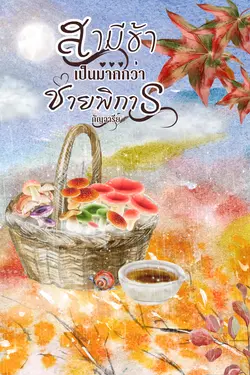 ปกอีบุ๊กเรื่อง สามีข้าเป็นมากกว่าชายพิการ