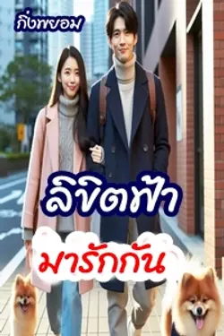 ปกอีบุ๊กเรื่อง ลิขิตฟ้ามารักกัน