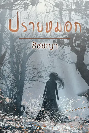 ปรายหมอก