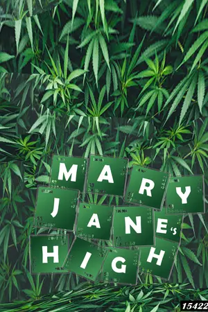 mary jane's high
