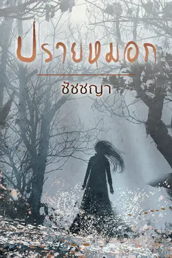 ปกอีบุ๊กเรื่อง ปรายหมอก