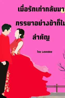 ปกอีบุ๊กเรื่อง เมื่อรักเก่ามาภรรยาอย่างข้าก็ไม่สำคัญ จีนยุค 90