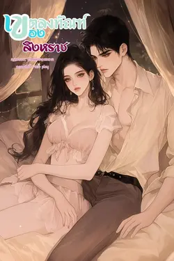 ปกอีบุ๊กเรื่อง เขตลงทัณฑ์ของสิงหราช(พระเอกธงดำ)