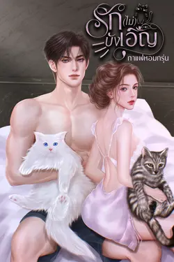 ปกอีบุ๊กเรื่อง รัก(ไม่)บังเอิญ