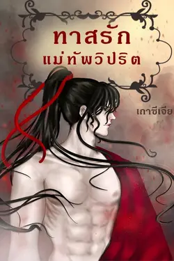 ปกอีบุ๊กเรื่อง ทาสรักแม่ทัพวิปริต