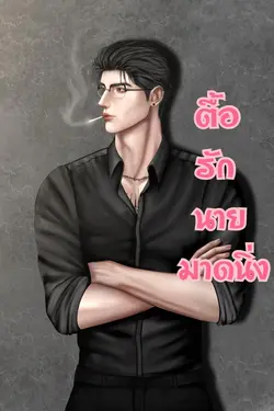 ปกอีบุ๊กเรื่อง ตื้อรักนายมาดนิ่ง