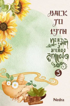Back to 1970 ทะลุมิติมาเลี้ยงลูกแฝด เล่ม 3