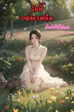 ปกอีบุ๊กเรื่อง รักนี้ อย่าหวนคืน