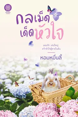 ปกอีบุ๊กเรื่อง กลเม็ดเด็ดหัวใจ