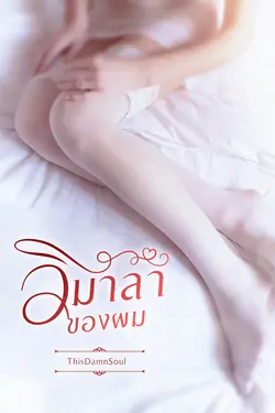 ปกอีบุ๊กเรื่อง วิมาลาของผม