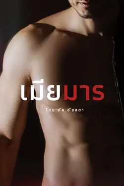 ปกอีบุ๊กเรื่อง เมียมาร