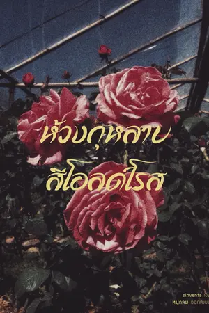 ห้วงกุหลาบสีโอลด์โรส