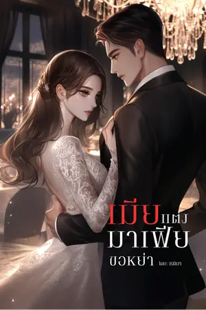 เมียแต่งมาเฟียขอหย่า