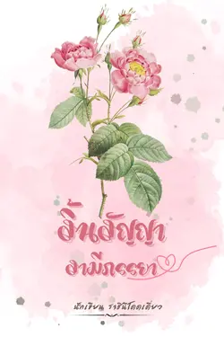 ปกอีบุ๊กเรื่อง สิ้นสัญญา สามีภรรยา