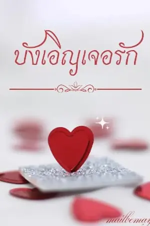 บังเอิญเจอรัก (นัดเขียนหน้าใหม่)