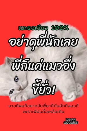 อย่าดุพี่นักเลย พี่ก็แค่แมวอึ่งขี้ยั่ว