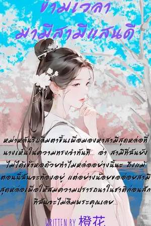 ข้ามเวลามามีสามีแสนดี