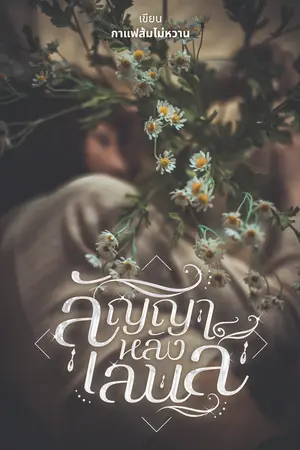 สัญญาหลังเลนส์