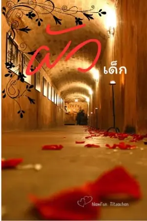 ผัวเด็ก  พาย&จิณณ์