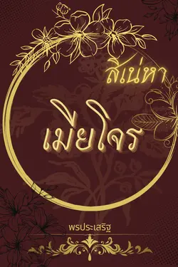 ปกอีบุ๊กเรื่อง สิเน่หาเมียโจร