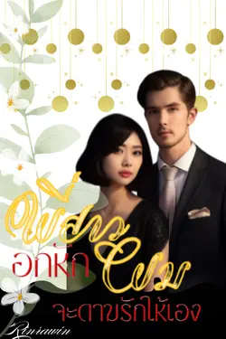 ปกอีบุ๊กเรื่อง พี่สามอกหักผมจะดามรักให้เอง 