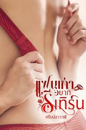 แฟนเก่าอยากรีเทิร์น