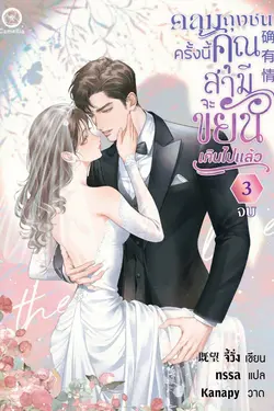ปกอีบุ๊กเรื่อง คลุมถุงชนครั้งนี้ คุณสามีจะขยันเกินไปแล้ว เล่ม 3 (จบ)