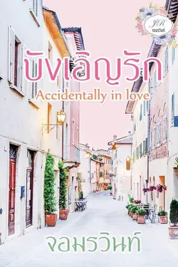 ปกอีบุ๊กเรื่อง Accidentally in Love บังเอิญรัก