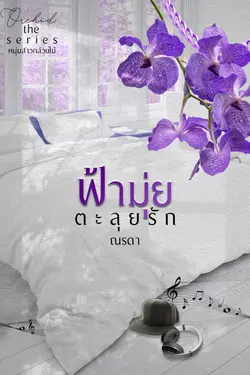 ปกอีบุ๊กเรื่อง ฟ้ามุ่ยตะลุยรัก