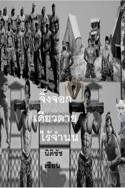 ปกอีบุ๊กเรื่อง จิ้งจอกขาวเดียวดายไร้จำนน