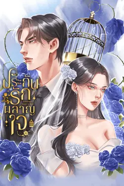 ปกอีบุ๊กเรื่อง ประกันรักผลาญใจ