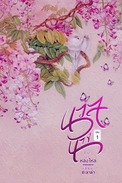 ปกอีบุ๊กเรื่อง นวลนางช่างน่าหลงใหล เล่ม 1