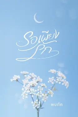 ปกอีบุ๊กเรื่อง รอเพียงรัก