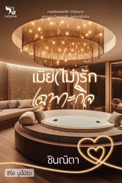 ปกอีบุ๊กเรื่อง เมีย(ไม่)รักเฉพาะกิจ (ซีรีย์ มูนี้มีรัก)