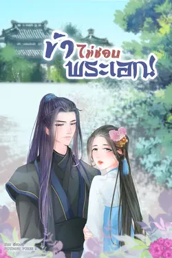 ปกอีบุ๊กเรื่อง ข้าไม่ชอบพระเอก !