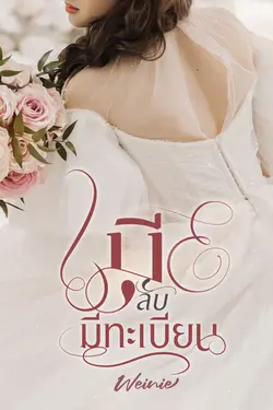 ปกอีบุ๊กเรื่อง เมียลับมีทะเบียน