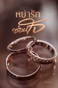 ปกอีบุ๊กเรื่อง หย่ารักซ่อนใจ