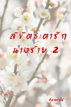 ปกอีบุ๊กเรื่อง ลิขิตชะตารักนางร้าย เล่ม 2 (จบ)