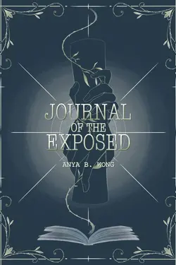 ปกอีบุ๊กเรื่อง Journal of the Exposed บันทึกเผยเงื่อน เล่ม 3
